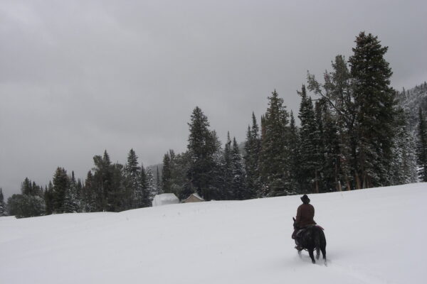 Montana Dude Ranch