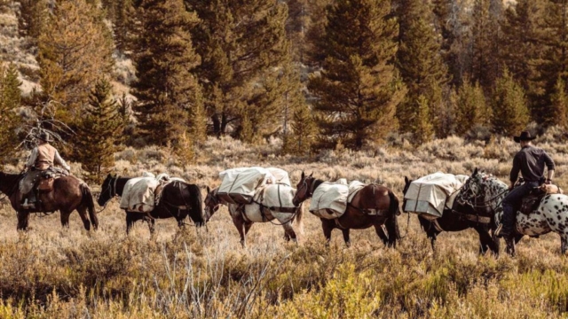 Yellowstone Horseback Riding