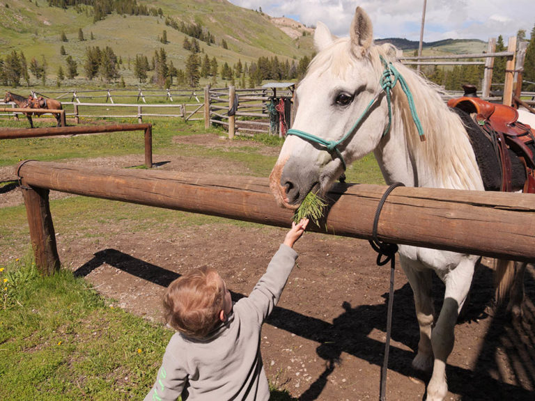 Montana Family Vacation