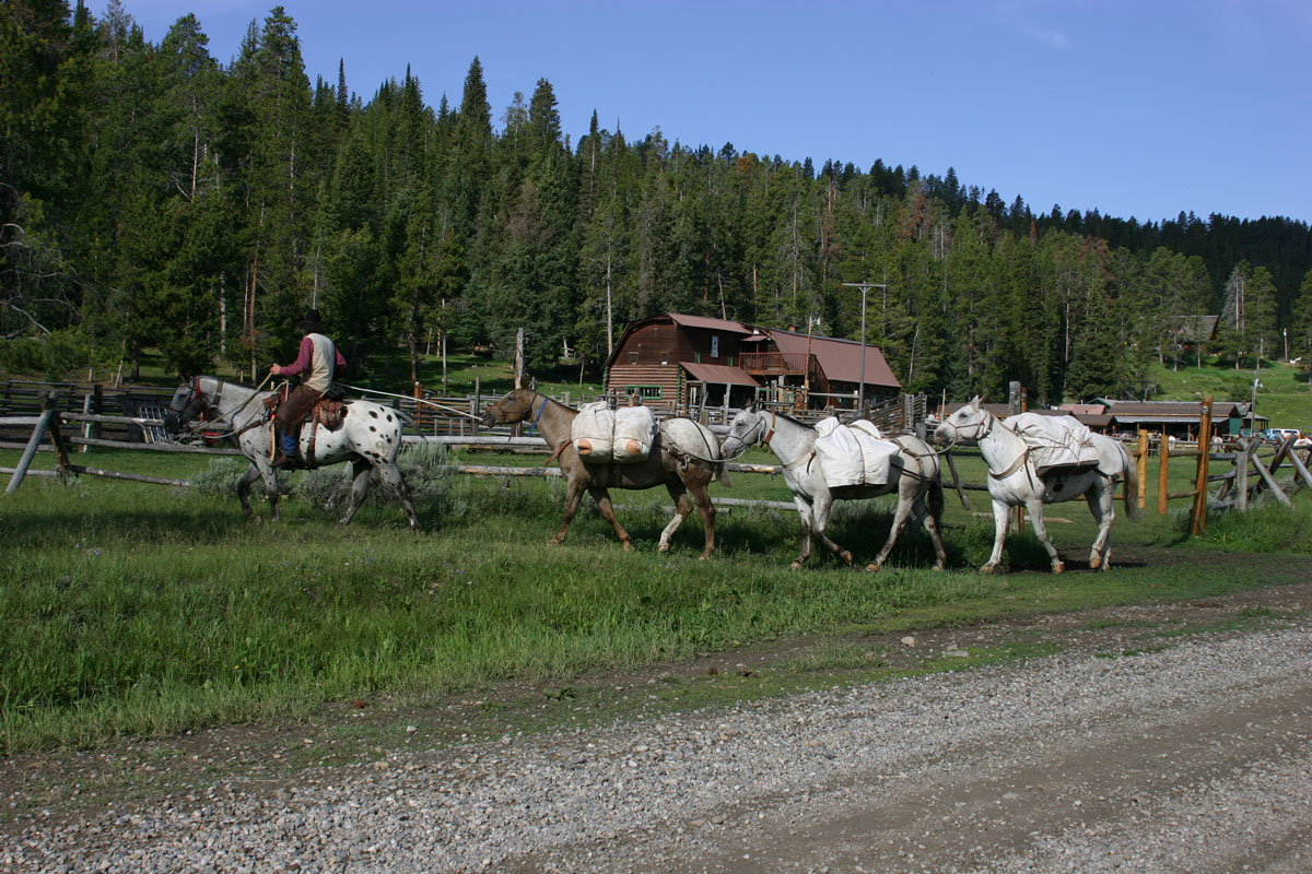 Yellowstone Pack Trips Nine Quarter Circle Ranch