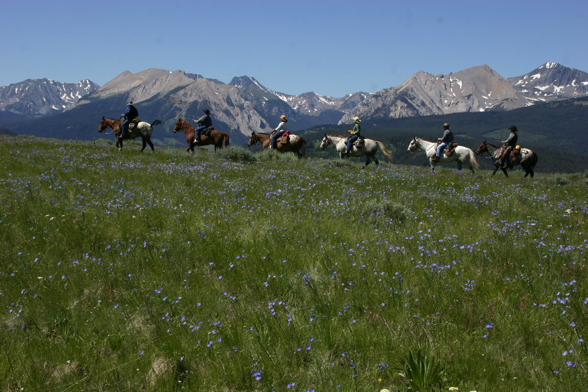 Yellowstone Pack Trips Nine Quarter Circle Ranch