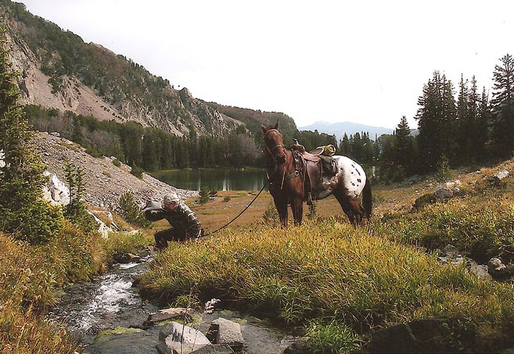 Nine Quarter Circle Ranch History Dude Ranches in Montana