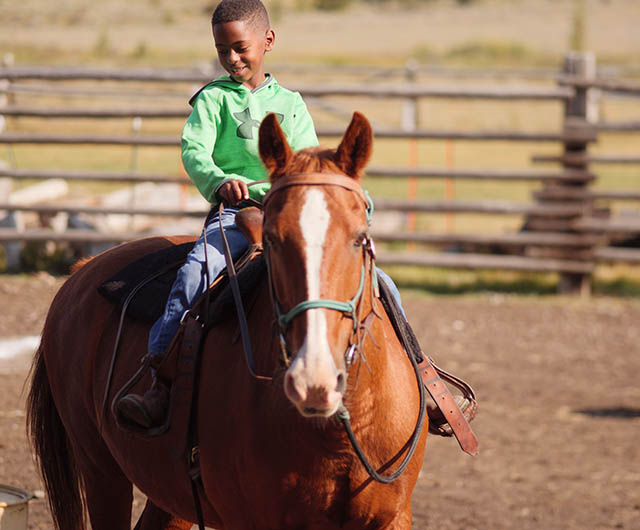 Yellowstone Horseback Riding