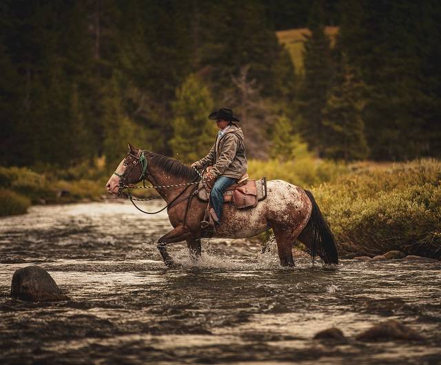 thumb-horseback-program-advanced-yellowstone-horseback-riding (1) A cowboy on horseback crosses a river, showcasing the bond between rider and horse in a natural setting.