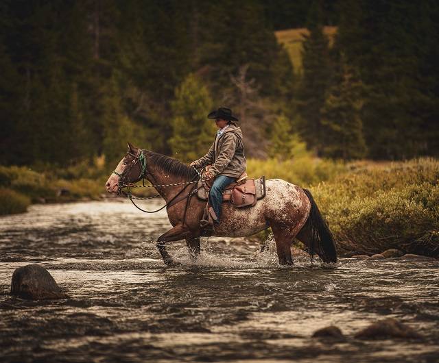 thumb-horseback-program-advanced-yellowstone-horseback-riding (1)