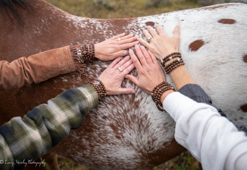 thumb-yoga-horseback-riding-9-quarter-circle-ranch